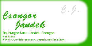 csongor jandek business card